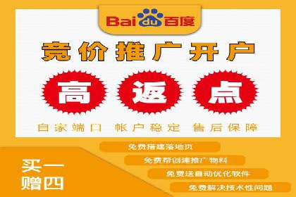 搜索引擎营销（SEM）公司某某的客户成功故事